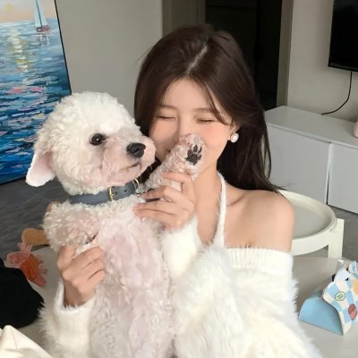 斗气一族粤语